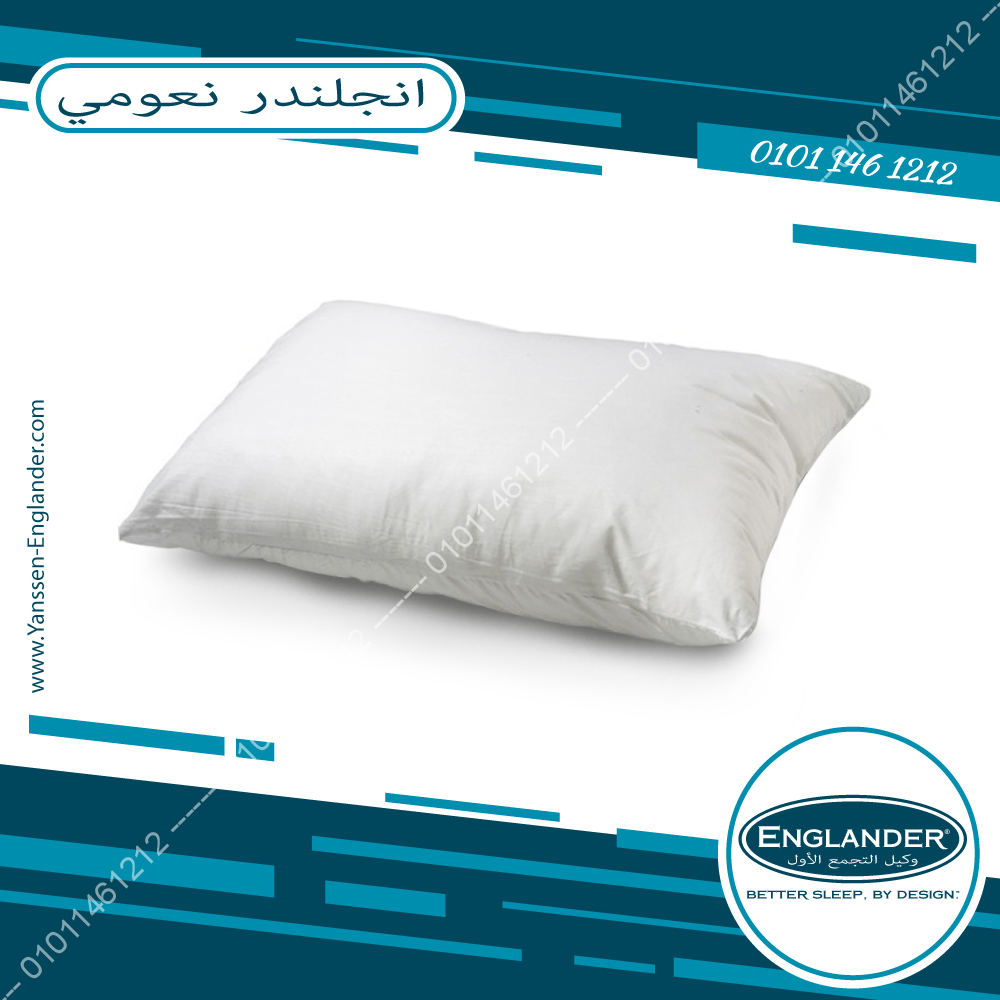 مخدات انجلندر نعومي