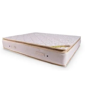 الرئيسية 12 مرتبة يانسن كتراكت بيلوتوب