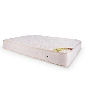 الرئيسية 13 مرتبة يانسن كتراكت