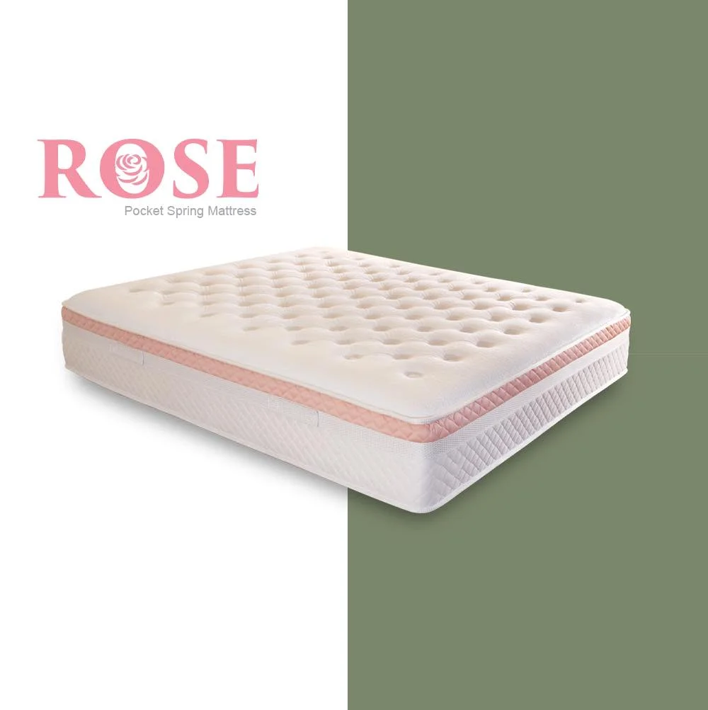 مرتبة المأمون روز Rose