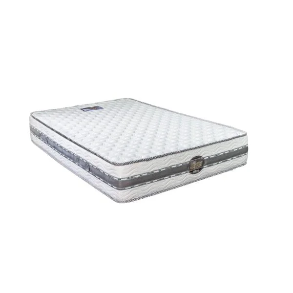مرتبة المأمون سيلفر Silver